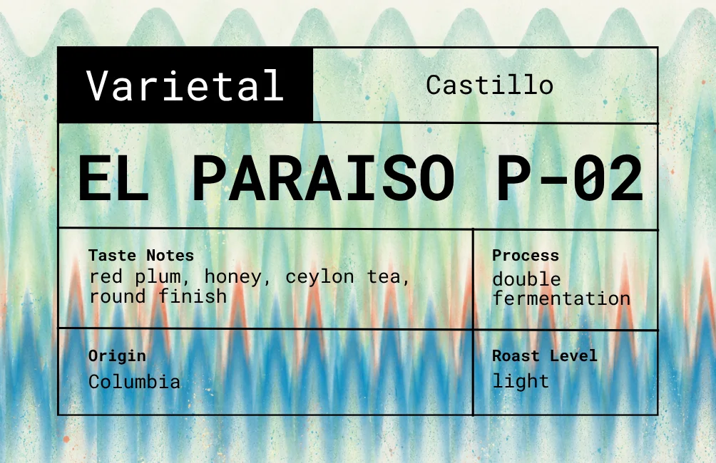 El Paraiso P-02 secondary view