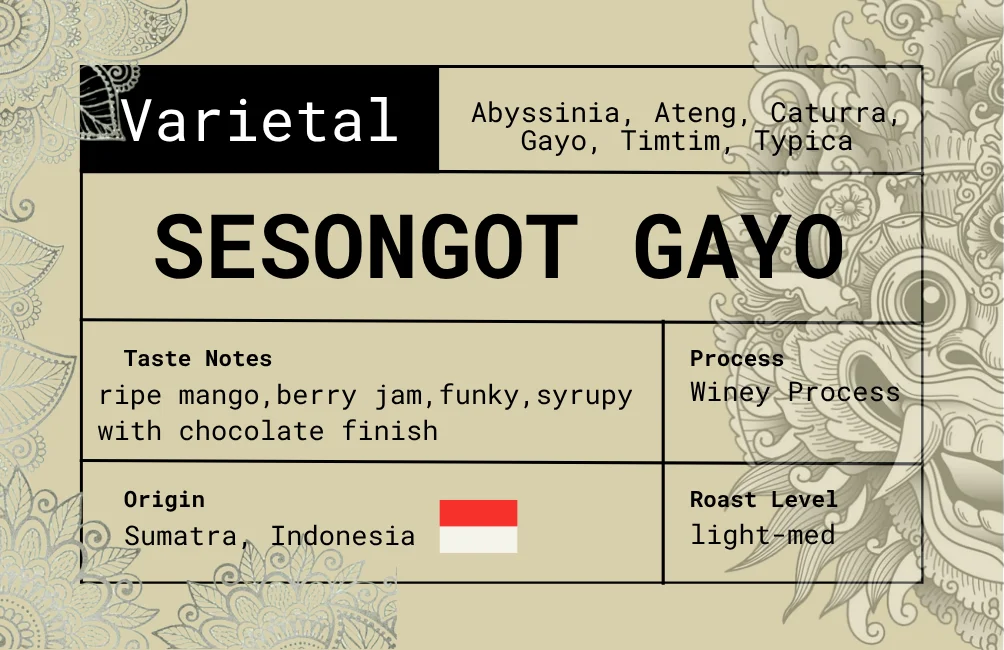 Sesongot Gayo secondary view