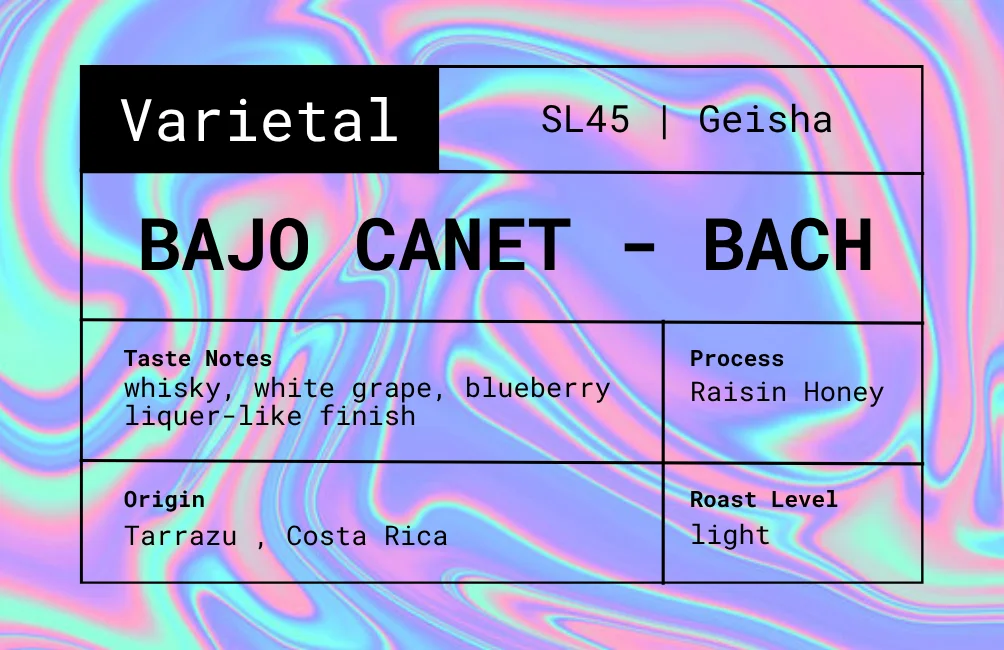 Bajo Canet - Bach secondary view