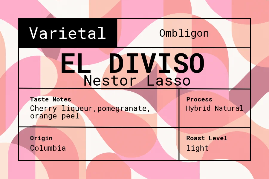 El Diviso - Nestor Lasso secondary view
