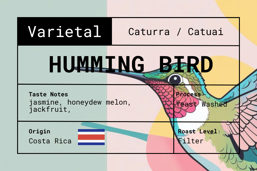 Costa Rica - Humming Bird secondary view