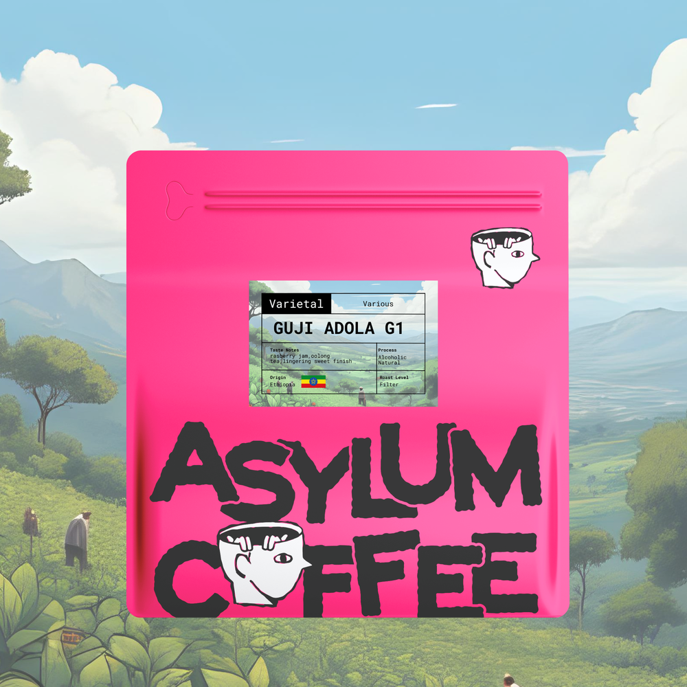 Ethiopia - Guji Adola G1