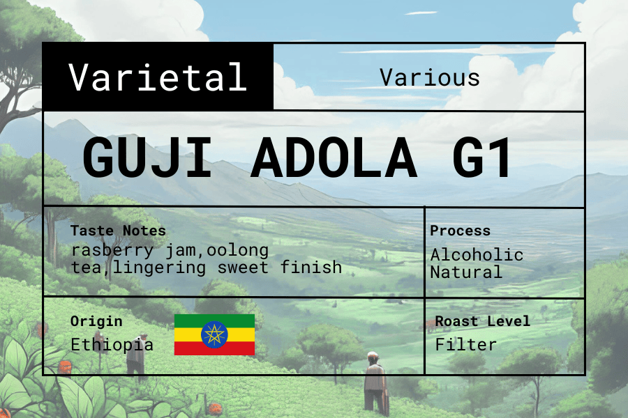 Ethiopia - Guji Adola G1 secondary view